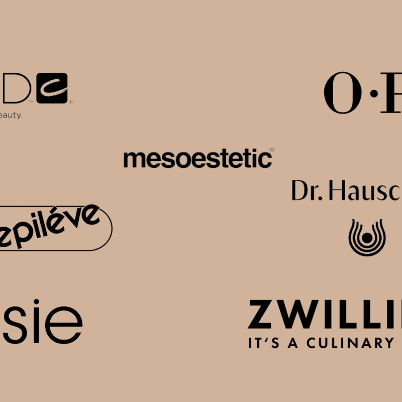 CONSETETUR SADIPSCING ELITR NONUMY MODIFIER